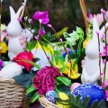 DSC06695 1280x853